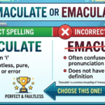 Immaculate or Emaculate? Correct Spelling Explained