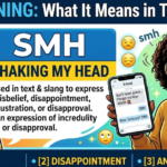 SMH Meaning: What It Means in Text & Slang