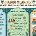 Habibi Meaning: Arabic, English & Popular Phrases