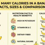 How Many Calories in a Banana? Facts, Sizes & Comparisons
