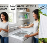 Remove Mildew Smell from Towels Fast & Effectively