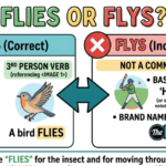 Flies or Flys? Correct Usage & Grammar Guide