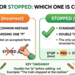 Stoped or Stopped: Which Is Correct?