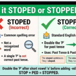 Stuffie or Stuffy: What’s the Difference?