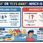 Flies Away or Flys Away: Which Is Correct?