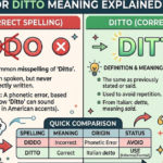 Diddo or Ditto Meaning Explained Clearly